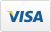 visa logo image